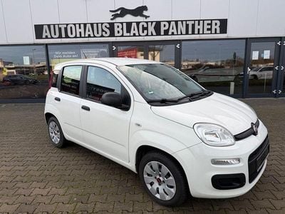 Gebraucht Fiat Panda Easy 69 PS (50 kW) 2018 Weiß Kleinwagen