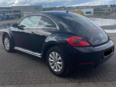 VW Beetle