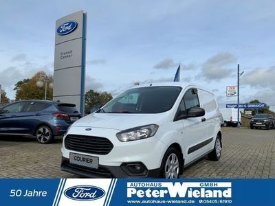 Frostweiß Gebraucht 2023 Ford Transit Trend Van | 19.490 € (Etwas zu teuer)