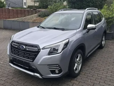 Gebraucht Subaru Forester