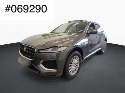 Gebraucht Jaguar F-Pace R-Dynamic 250 PS (183 kW) 2023 Charente grey SUV