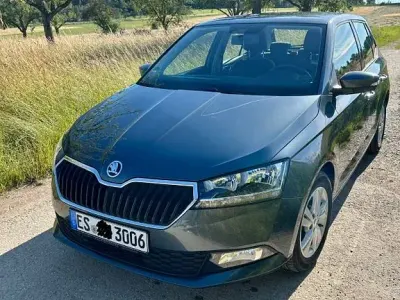 Gebraucht Skoda Fabia Ambition 110 PS (80 kW) 2020 Grau Kleinwagen