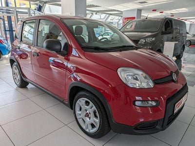 Gebraucht Fiat Panda 69 PS (50 kW) 2024 Rot Kleinwagen
