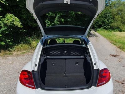 VW Beetle