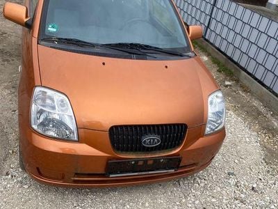 Usata Kia Picanto LX 65 CV (47 kW) 2006 Utilitaria