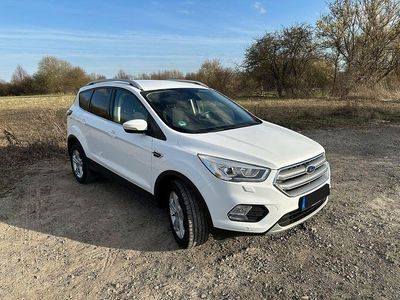Gebraucht Ford Kuga Cool & Connect 150 PS (110 kW) 2017 Weiß SUV