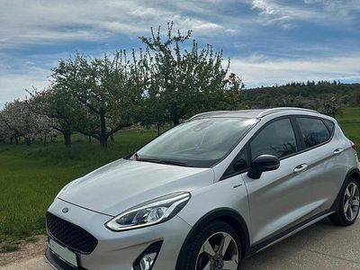 Usata Ford Fiesta Active 101 CV (74 kW) 2019 Argento Utilitaria