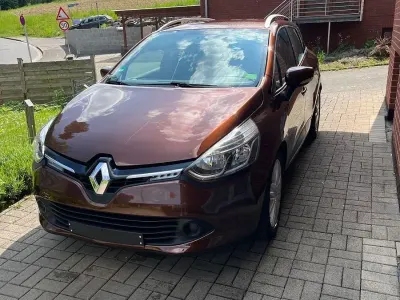 Brugt Renault Clio IV