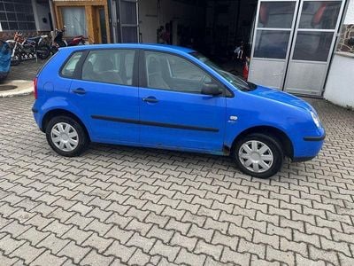 VW Polo
