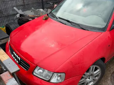 Second-hand Audi A3 125 CP (91 kW) 1996 Roșu Hatchback