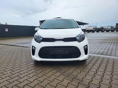 Usata Kia Picanto Vision 67 CV (49 kW) 2023 Bianco Utilitaria