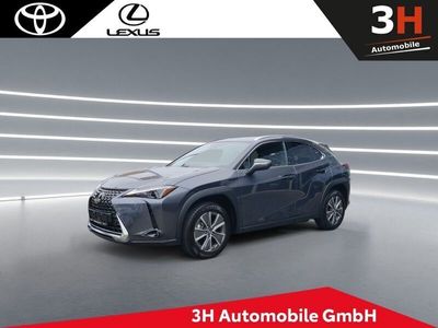 Lexus UX 300e