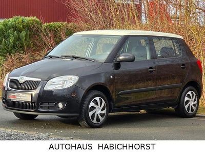 Schwarz Gebraucht 2010 Skoda Fabia Ambiente Kleinwagen | 5.590 € (Etwas zu teuer)
