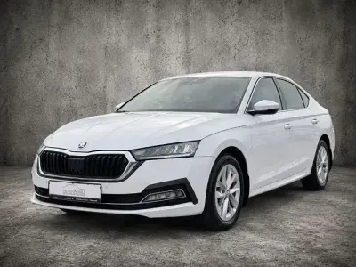 Brugt Skoda Octavia Style 110 HK (80 kW) 2023 Hvid Sedan