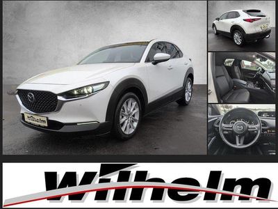 Gebraucht Mazda CX-30 Selection 179 PS (131 kW) 2020 Satinweiß SUV
