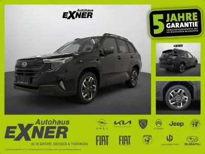 Gebraucht Subaru Forester