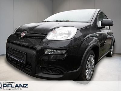 Neu Fiat Grande Panda 69 PS (50 kW) 2025 Schwarz Kleinwagen