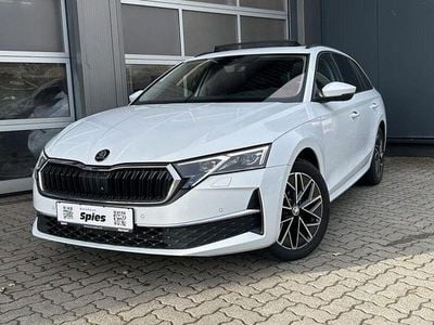 Gebraucht Skoda Octavia 150 PS (110 kW) 2025 Moonweiss metallic Kombi