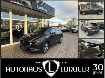 Brugt Mazda CX-30 Selection 150 HK (110 kW) 2020 Grå SUV