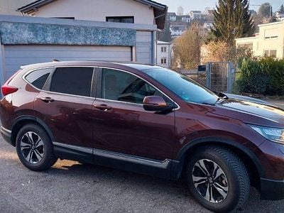 Braun Gebraucht 2019 Honda CR-V Comfort SUV | 18.990 € (Fairer Preis)