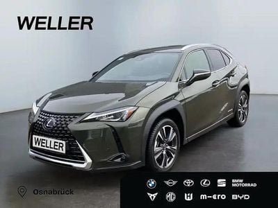 Gebraucht Lexus UX 250h 184 PS (135 kW) 2021 Gruen SUV