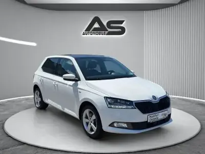 Gebraucht Skoda Fabia Best of 110 PS (80 kW) 2020 Weiß Kleinwagen