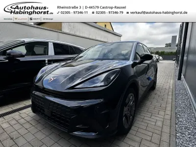 Gebraucht Cupra Raval
