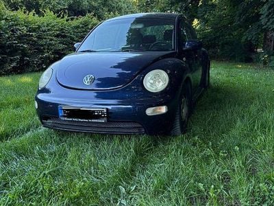 VW Beetle