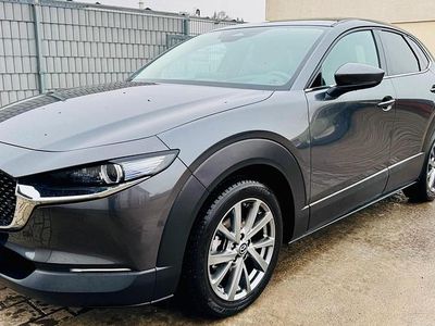 Gebraucht Mazda CX-30 Exclusive-Line 150 PS (110 kW) 2024 Grau SUV