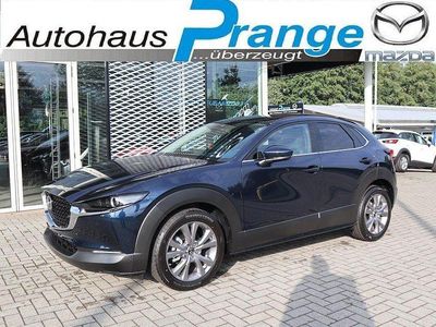 Gebraucht Mazda CX-30 Selection 150 PS (110 kW) 2020 Blau SUV