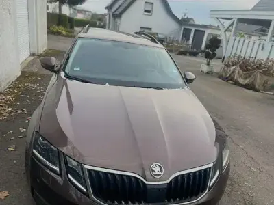 Gebraucht Skoda Octavia Solution 150 PS (110 kW) 2017 Braun Kombi