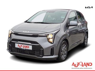 Grau Gebraucht 2024 Kia Picanto Vision Kleinwagen | 17.950 € (Etwas zu teuer)