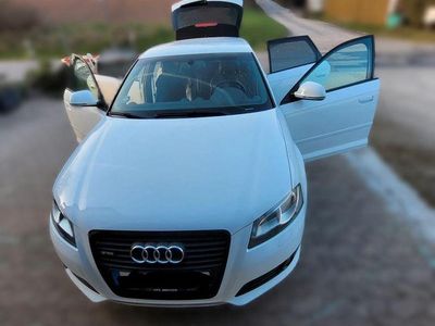 Gebraucht Audi A3 S-Line 160 PS (117 kW) 2009 Weiß Kleinwagen