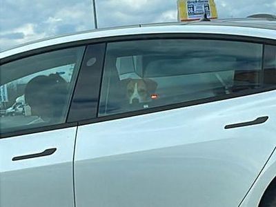 Weiß Gebraucht 2021 Tesla Model 3 Standard Range Plus Limousine | 725.000 €