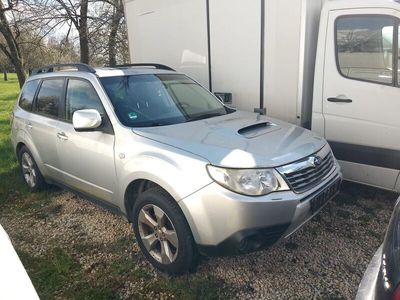 gebraucht Subaru Forester 22