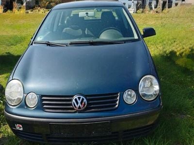 VW Polo