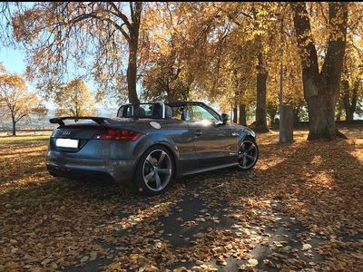 Gebraucht Audi TT Roadster Exclusive 340 PS (250 kW) 2011 Grau Cabrio