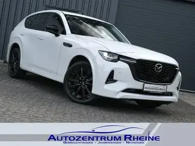 Gebraucht Mazda CX-60 Homura-Line 200 PS (147 kW) 2023 Weiß SUV