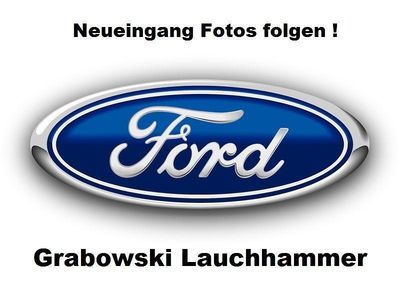 Usata Ford Transit Trend 131 CV (96 kW) 2020 Blu Monovolume