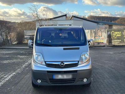 Grau Gebraucht 2014 Opel Vivaro Van / Kleinbus | 7.500 € (Teuer)