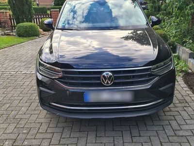 gebraucht VW Tiguan LIFE (neues Modell) 1.5 TSI LED NAVI ACC SHZ AHK