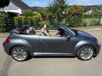 VW Beetle