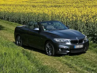 Gebraucht BMW 220 M Sport 190 PS (139 kW) 2015 Grau Cabrio