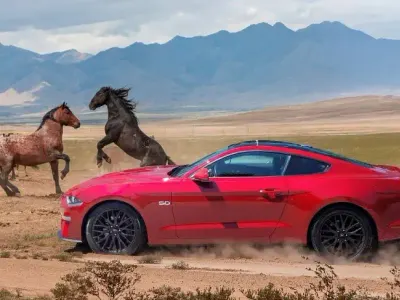 Gebraucht Ford Mustang