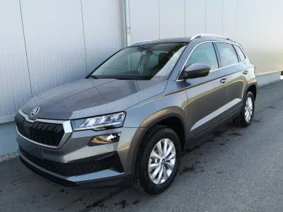 Neu Skoda Karoq Selection 190 PS (139 kW) 2026 Stahlgrau SUV