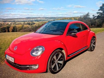 Usata VW Beetle 160 CV (117 kW) 2013 Rosso Utilitaria