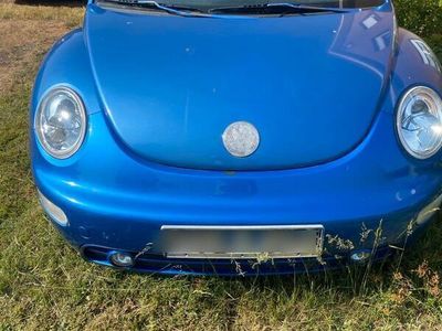 VW Beetle