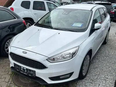 Usata Ford Focus Trend 105 CV (77 kW) 2015 Bianco Berlina