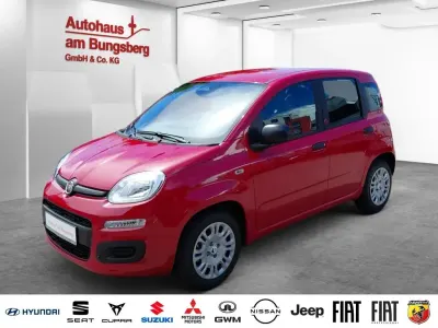 Neu Fiat Panda Icon 65 PS (47 kW) 2026 Rot Kleinwagen