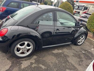 VW Beetle
